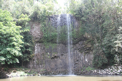 Millaa Millaa vízesés