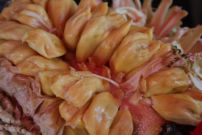 Jackfruit