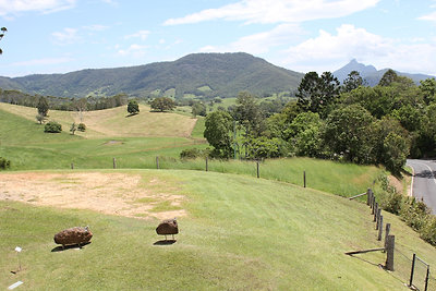 Ökör szobrok a helyi galéria kertjében