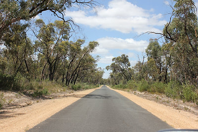 ezen az úton futottak át keresztbe az emuk