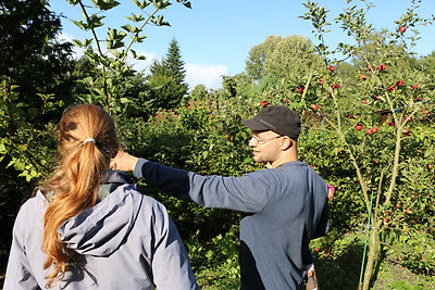 Büszke földműves és a remek almatermés a háttérben :)