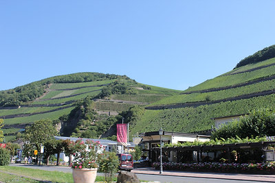 Rajna menti szőlőhegyek, igen-igen meredek műveléseket láttunk!