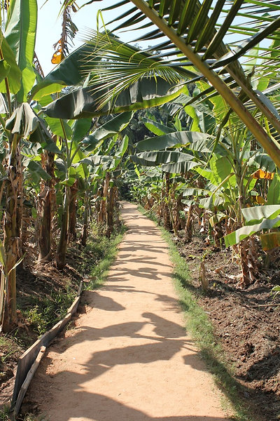 útban az étterembe