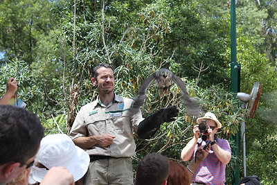 Remélem nem lesznek rémálmaitok ettől a képtől :)