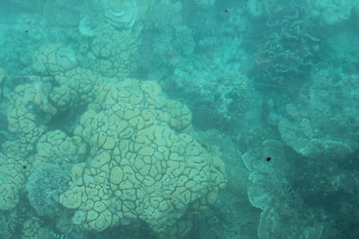 Üvegaljú hajóból fotózva