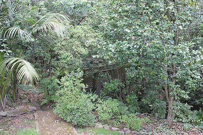 Feriék kertje. Csak a szokásos szobanövények, odakint :-).