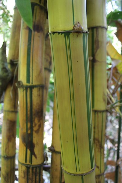 kellemesen hűs a tapintása