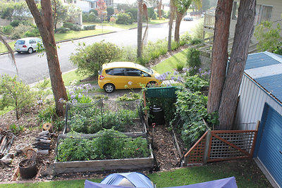 zöldséges kert, a posszumok miatt behálózva