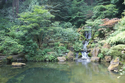 strolling pond garden