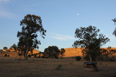 Kilátás az ingyenes kempingből