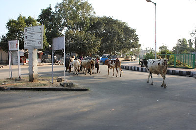 szabálytalan közlekedés
