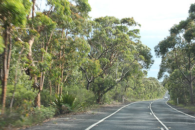 ... a nemzeti parkon