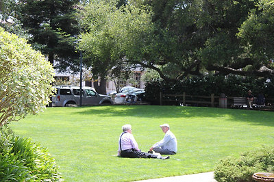 Nehéz az élet Carmelben...