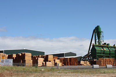 egy fatelep a sok közül