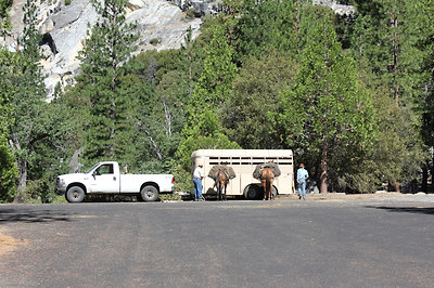 épp indulnak lovas túrára