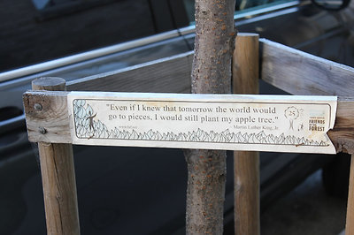 ez a hozzáállás kéne itthonra is